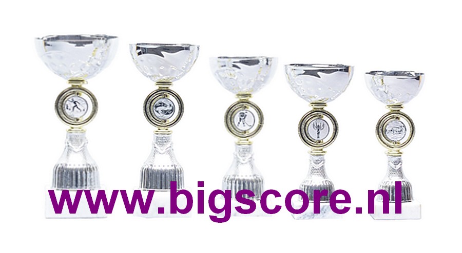 Z529 Beker Goud-Zilver